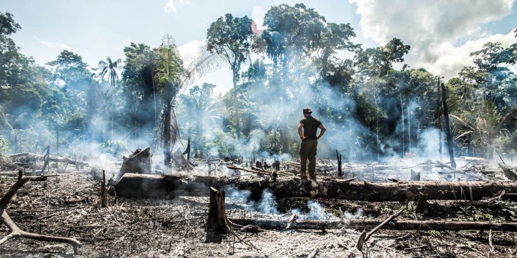 Cháy rừng Amazon, thảm họa được báo trước